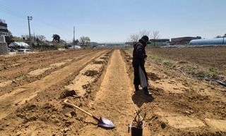 정서연님의 포도 · 영농일지 작성글 사진