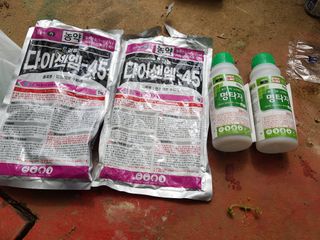 김종포님의 기타작물 · 영농일지 작성글 사진