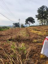 팜모닝 기타작물·영농일지 게시글 이미지