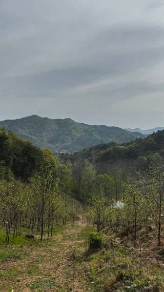 엉뚱님의 기타작물 · 영농일지 작성글 사진