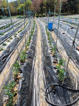 이경옥님의 작성글 사진