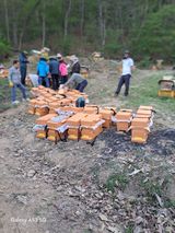 조연만님의 작성글 사진