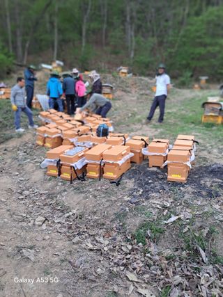 조연만님의 기타작물 · 영농일지 작성글 사진