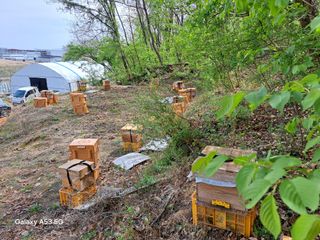 조연만님의 기타작물 · 영농일지 작성글 사진