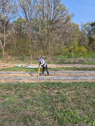 서초농원님의 기타작물 · 영농일지 작성글 사진