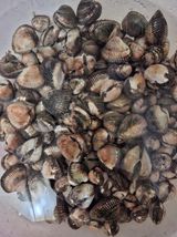 결단이님의 작성글 사진