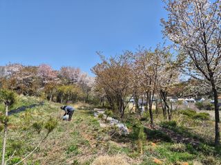정창배 님의 기타작물 · 영농일지 작성글 사진