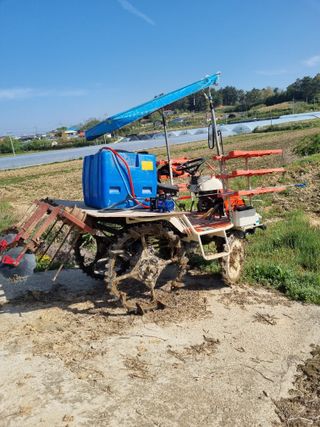 논산푸른팜님의 고추 · 영농일지 작성글 사진