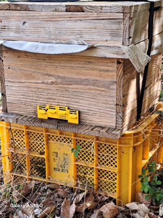 조연만님의 기타작물 · 영농일지 작성글 사진