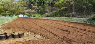 이진수님의 기타작물 · 영농일지 작성글 사진