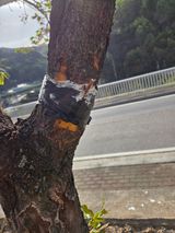 김용대님의 작성글 사진