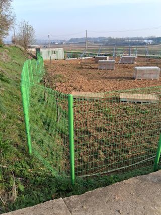 화성단삼님의 기타작물 · 영농일지 작성글 사진