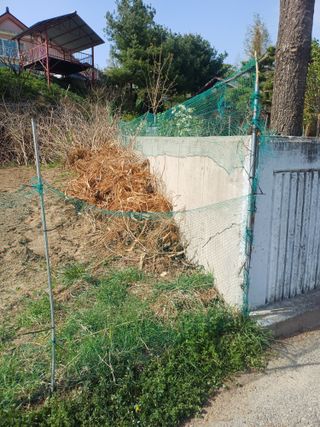 인산님의 기타작물 · 영농일지 작성글 사진