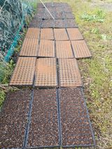 드라곤해드님의 작성글 사진