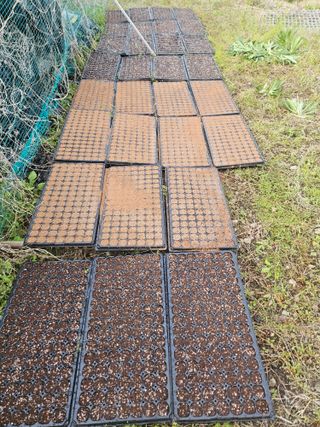 드라곤해드님의 기타작물 · 영농일지 작성글 사진