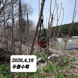 시민농장님의 작성글 사진