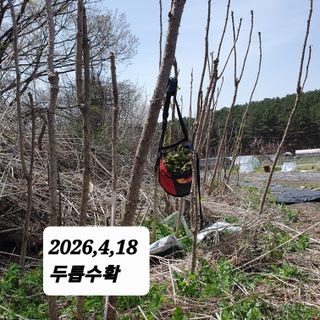 시민농장님의 기타작물 · 영농일지 작성글 사진