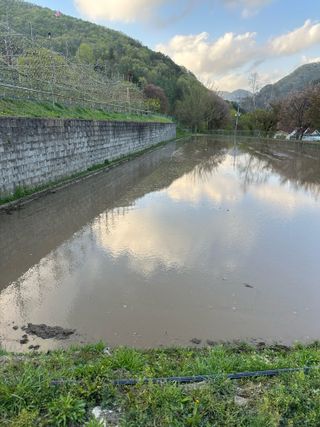 이익수님의 벼 · 영농일지 작성글 사진