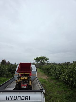 산방자연농원님의 귤 · 영농일지 작성글 사진