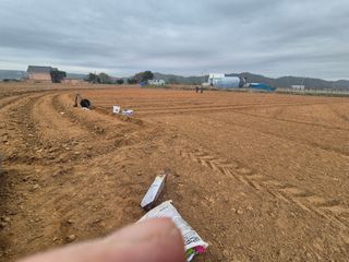 양홍주님의 고추 · 영농일지 작성글 사진