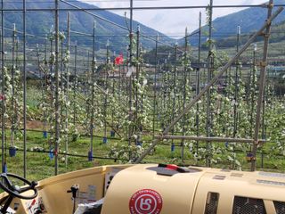 날씨가 흐려 방제가님의 기타작물 · 영농일지 작성글 사진