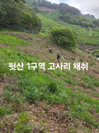 쌍둥이농장님의 기타작물 · 영농일지 작성글 사진