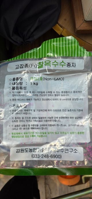 고구마15091님의 옥수수 · 영농일지 작성글 사진