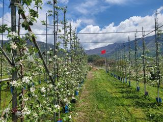 날씨가 흐려 방제가님의 작성글 사진