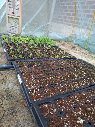 이재상님의 기타작물 · 영농일지 작성글 사진