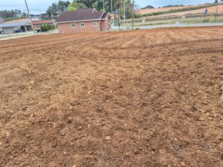 김기철님의 기타작물 · 영농일지 작성글 사진