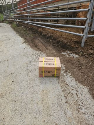 양배추21524님의 기타작물 · 영농일지 작성글 사진