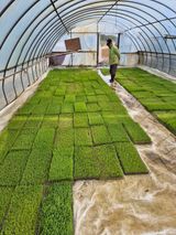 곰새끼님의 작성글 사진