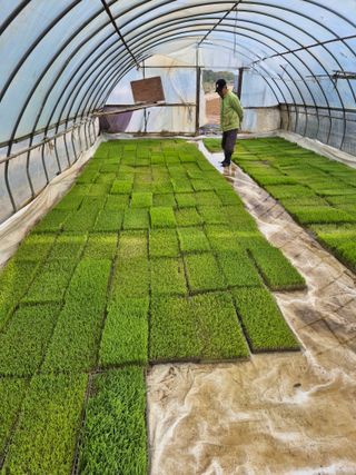 곰새끼님의 콩 · 영농일지 작성글 사진