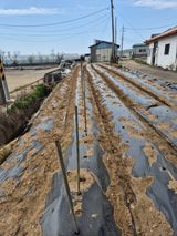 곰새끼님의 작성글 사진