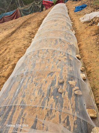 소병찬님의 상추 · 영농일지 작성글 사진