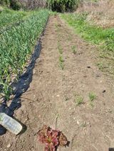 구평쿠키요정님의 작성글 사진