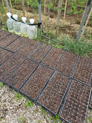 백승화님의 기타작물 · 영농일지 작성글 사진