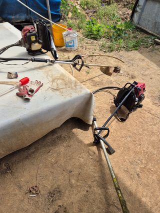 호랑이별님의 기타작물 · 영농일지 작성글 사진