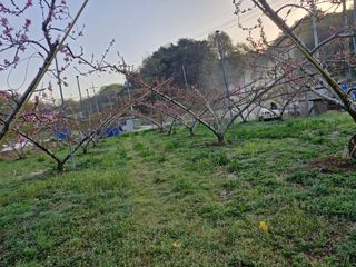 백운농원 님의 기타작물 · 영농일지 작성글 사진