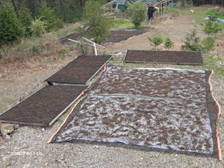 서인덕님의 기타작물 · 영농일지 작성글 사진