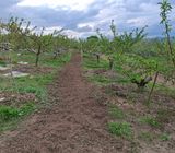 철남 김희곤님의 작성글 사진