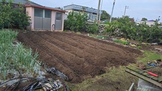 보문거사님의 배추 · 영농일지 작성글 사진