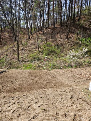 감7768님의 기타작물 · 영농일지 작성글 사진