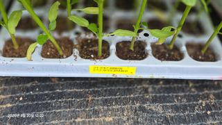 박용열조물주님 님의 기타작물 · 영농일지 작성글 사진