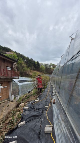 곰티농사꾼님의 기타작물 · 영농일지 작성글 사진