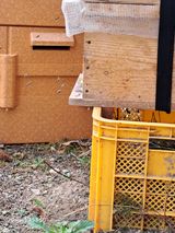 조연만님의 작성글 사진