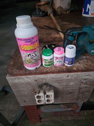 멧돼지님의 자두 · 영농일지 작성글 사진