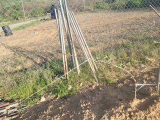 신승철님의 사과 · 영농일지 작성글 사진