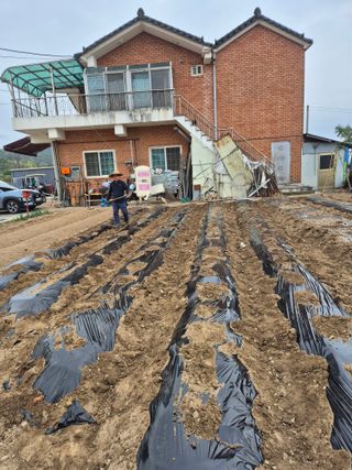 곰새끼님의 작성글 사진