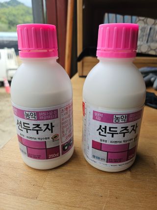 조영민님의 배 · 영농일지 작성글 사진